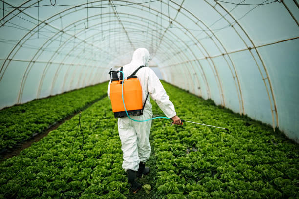 Best Commercial Pest Control Services  in Cetronia, PA