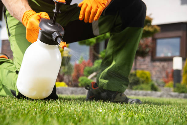 Best Emergency Pest Control  in Cetronia, PA