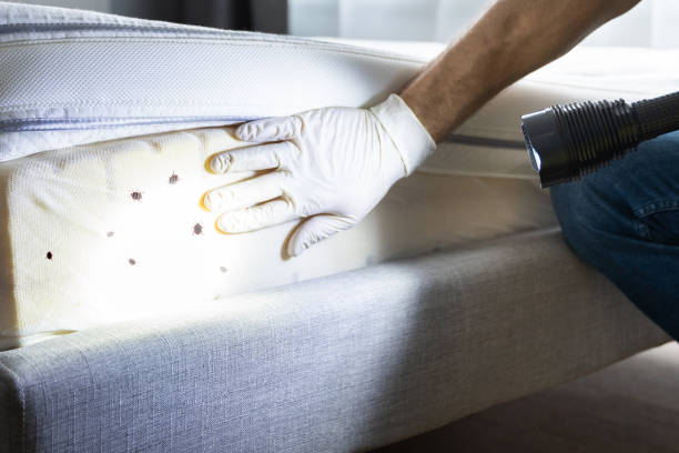 Pest Control Cost in Cetronia, PA