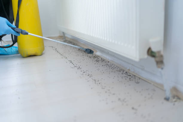 Best Emergency Pest Control  in Cetronia, PA
