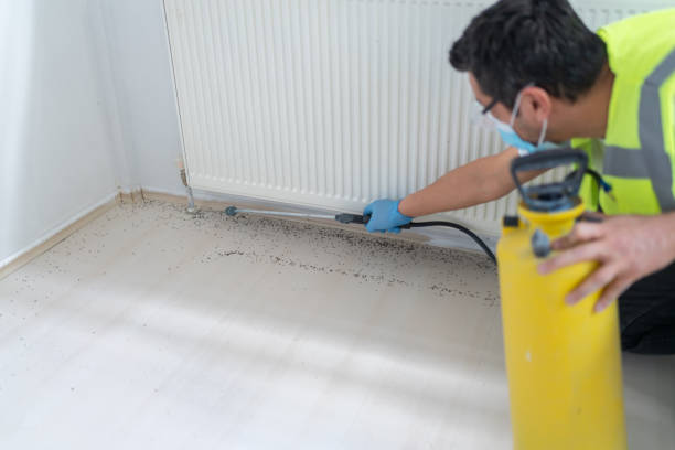 Best Mosquito Control Services  in Cetronia, PA