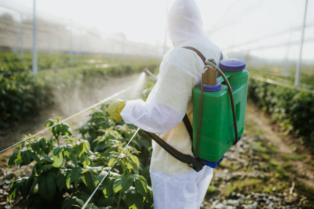 Best Bed Bug Extermination  in Cetronia, PA